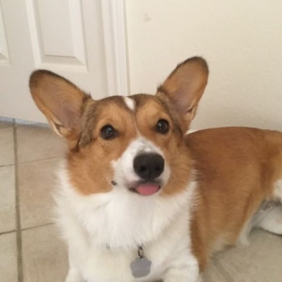 Meet your Posher, Ray - Picture 1 of 1